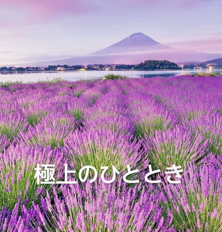 話そう～24時間秘密のチャット◯ゆったり聴きます もっと話したい♡極上のひと時　夢語り　自慢話　褒められた事 イメージ4