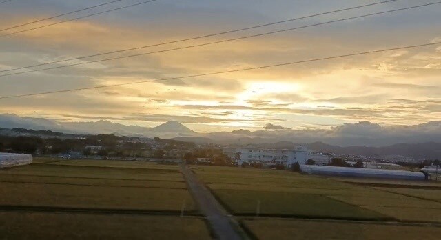 届かない想い、切ない想い、切ない気持ち、占います 誰にも言えない心に寄り添います。 イメージ1