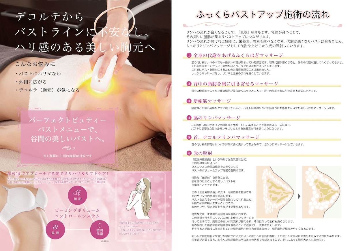 魅力を伝えるパンフレットデザイン承ります 会社学校イベントに最適！わかりやすく魅力を引き出すのデザイン イメージ1