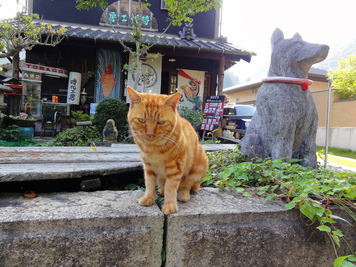 あなただけの旅行プラン作成いたします 旅の“猫の手”も借りたい！そんなあなたのお手伝い☆★ イメージ2