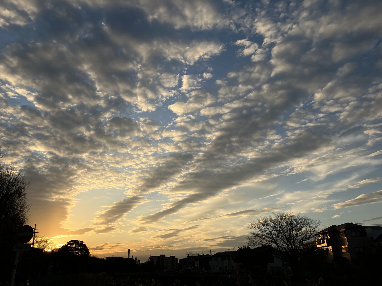 心の悩み、愚痴、どんなお話もお聞きします あなたの心を解きほぐす♪ADHDだから出来るお話し会☆ミ イメージ3