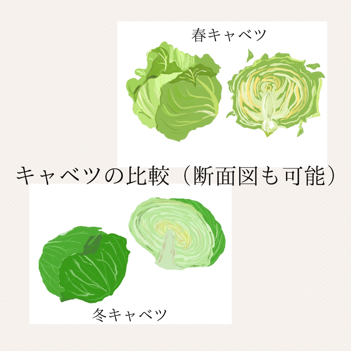 商用OK！食べ物・料理のイラスト描きます フリー素材で物足りない方へ、資料やサイトの挿絵に使える絵 イメージ3