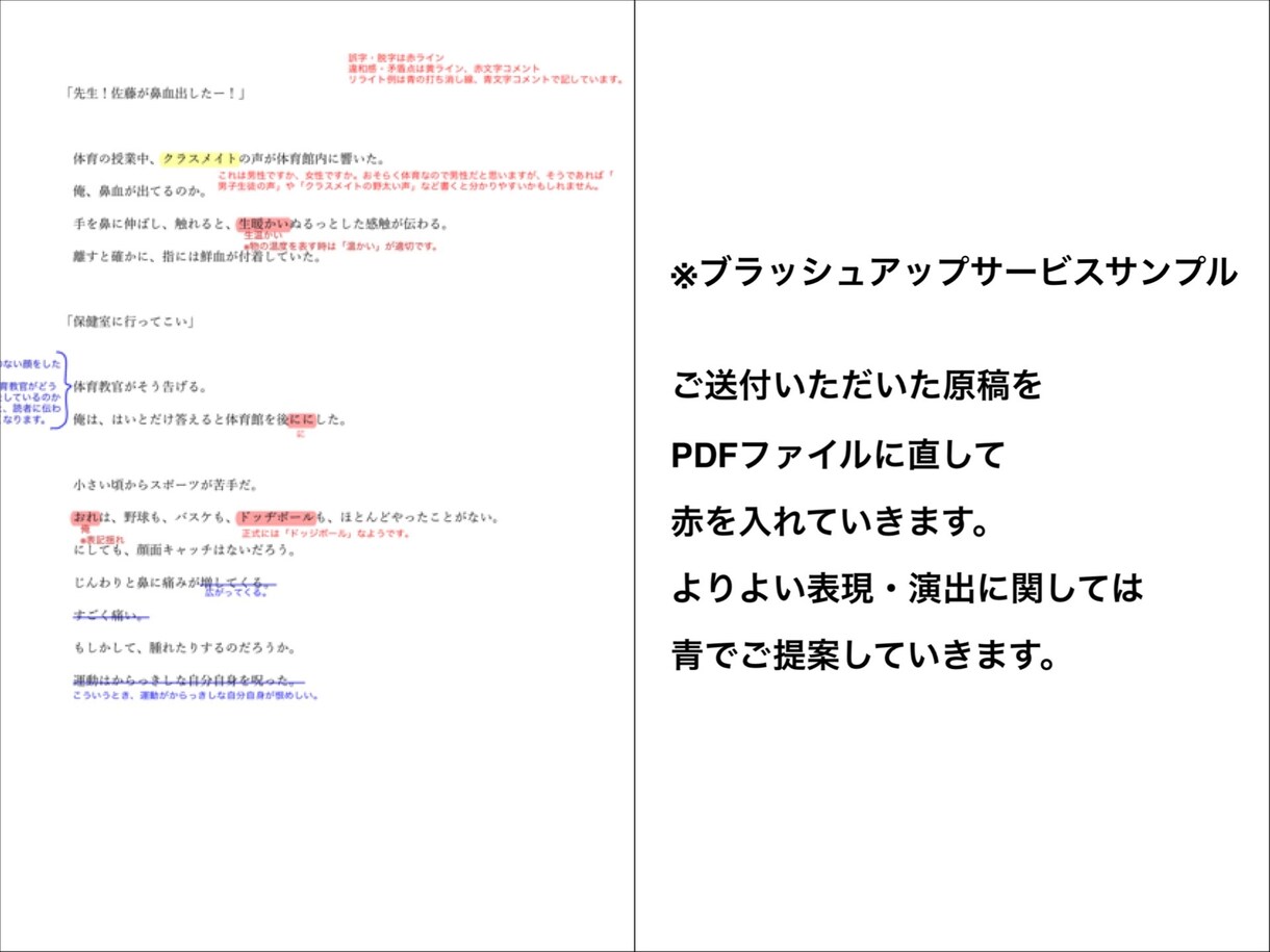 あなたの小説・文章を校正・ブラッシュアップします 〜誰かの心に響く文章を目指す方へ〜 イメージ4