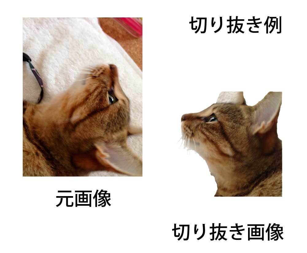 画像データのお困りごとを解決します 切り抜き、画像加工等お手伝いします イメージ3