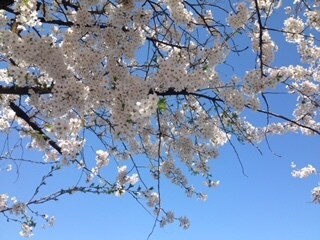 今日はどんな日でしたか？何でもお話し頂けます 毎日を笑顔で活躍できますよう、全力であなたをサポートします イメージ1
