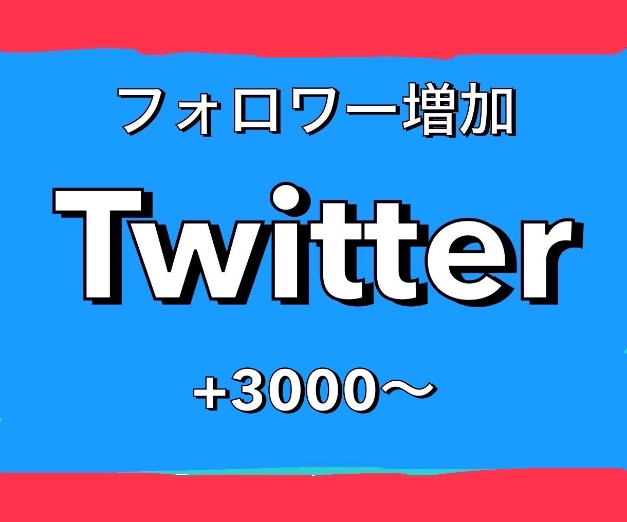 Twitter宣伝！フォロワー3000人増やします 1500円で+3000人！最大5万人まで増加可能！ イメージ1