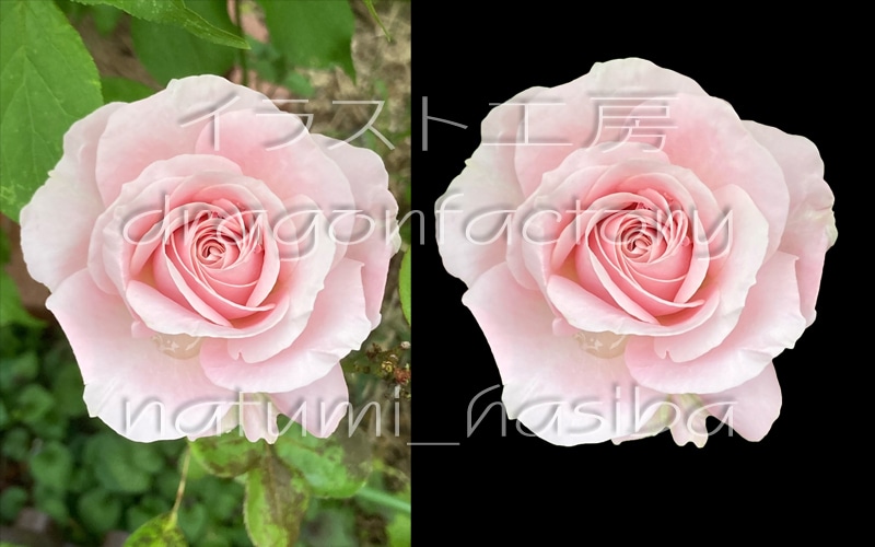 画像、写真編集いたします 画像修正も可能。余分な部分を消したり追加したり応相談 イメージ3