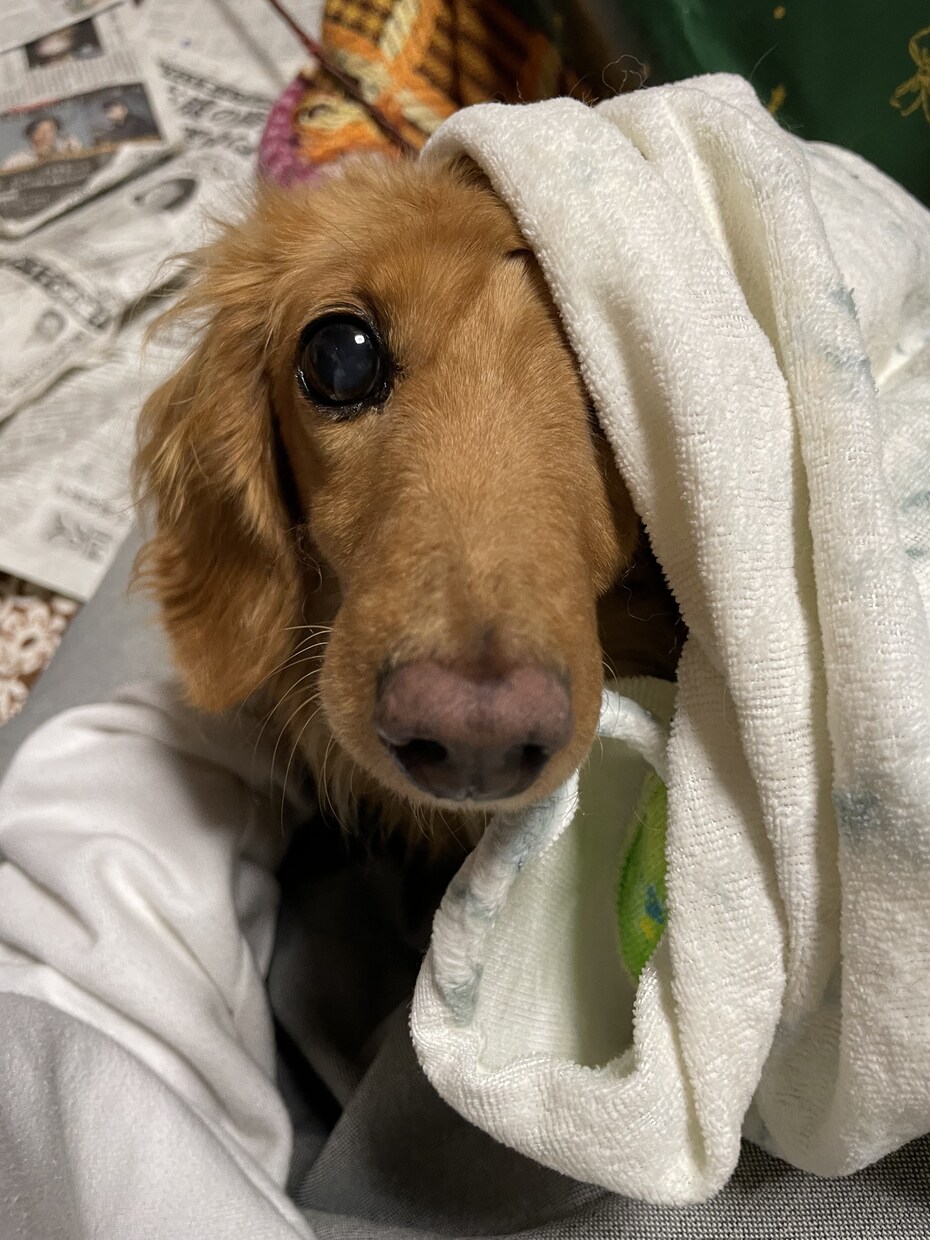 あなたの悩みどんどん吐きましょ！何でも聞きます 私の事は気にせずどんどん悩みを吐いてね！タメ口、即切りOK イメージ3