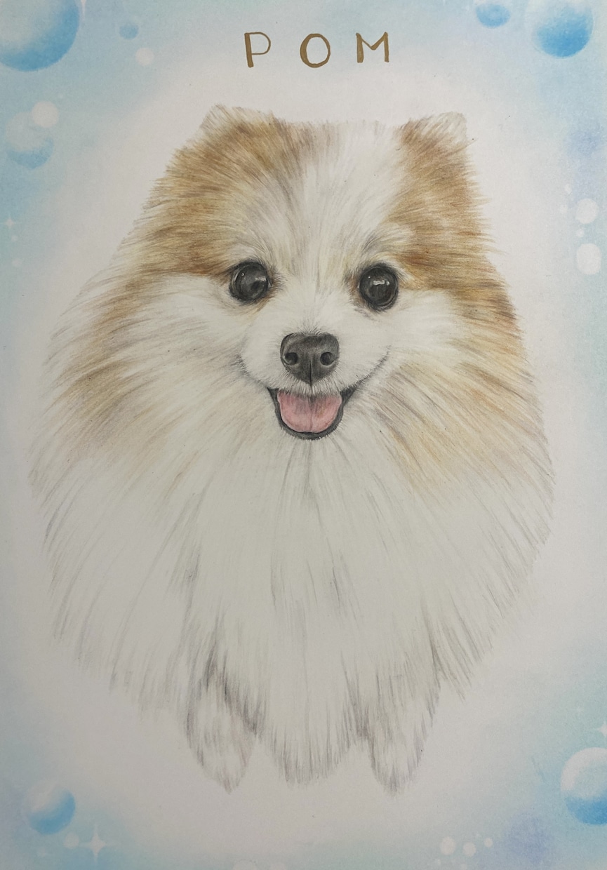 色鉛筆似顔絵肖像画描きます 世界に１つだけの愛犬、愛猫の似顔絵を原画でお渡します。 イメージ5