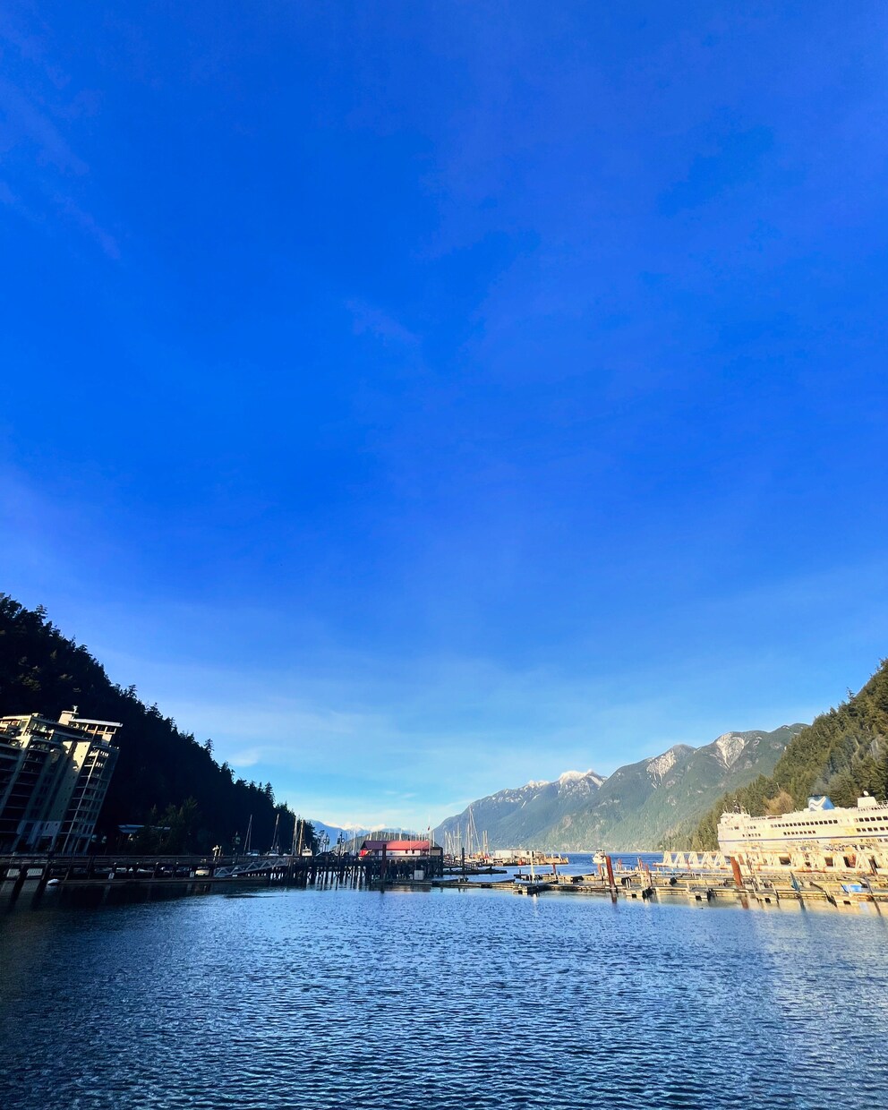 海外(カナダ)の写真を提供します カナダ、バンクーバーの日常の中の写真をどうぞ。 イメージ1
