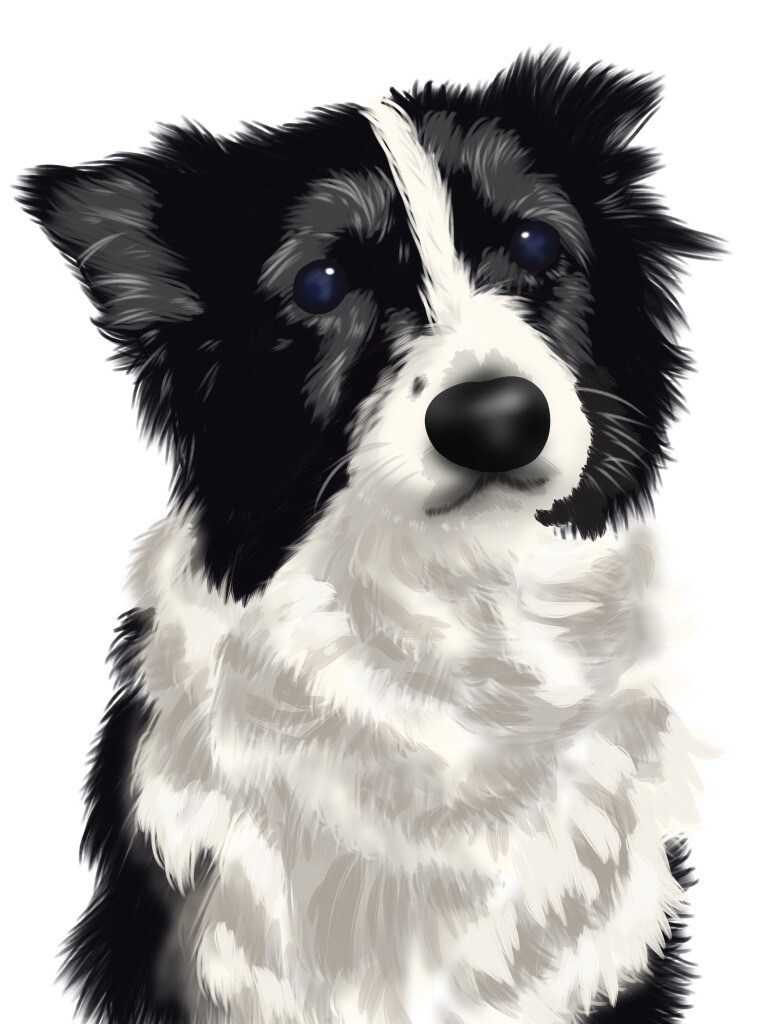 お写真を元にペットの似顔絵を描きます あなたのお気に入りの1枚がイラストに イメージ6