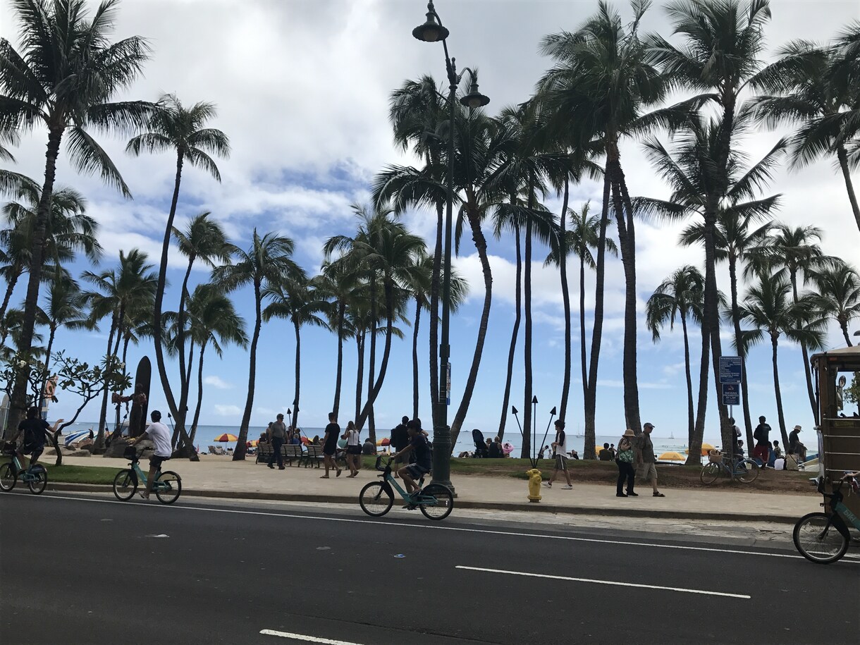 Hawaiiについて今知りたい情報お調べ致します あなたの今知りたいあれやこれ！代わりに偵察してきます！ イメージ2