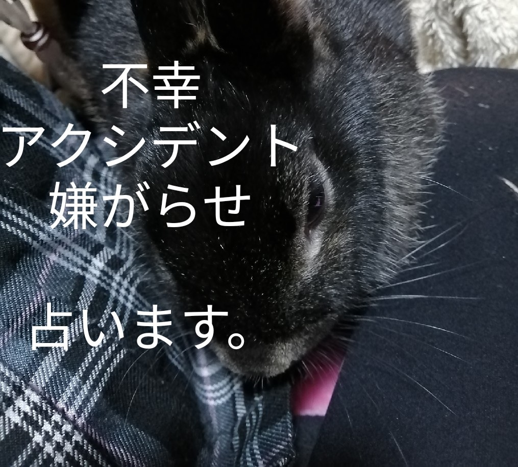 不幸 トラブル アクシデント 悪因の原因占います なぜ自分だけが？納得いかない悪因を占わさせていただきます。 イメージ1