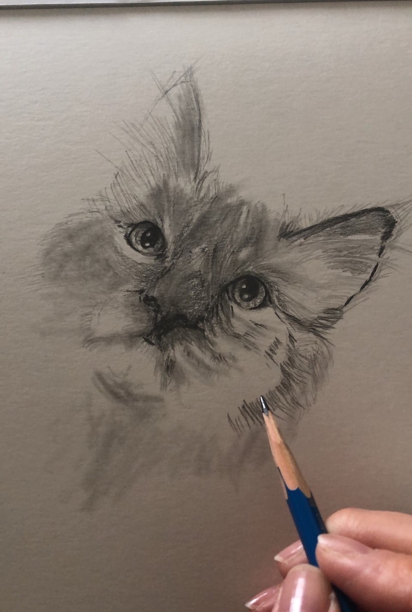 写真から鉛筆・色鉛筆でデッサン風似顔絵を描きます 人生に絵を残そう。こだわり手書き、加工一切なし。原画郵送。 イメージ2