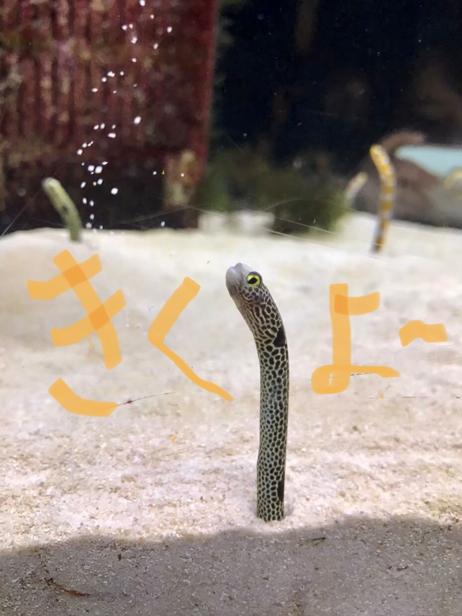思考改善‼️チャットで相談受けます 見ます‼️聞きます‼️言います‼️➕思考に変えます イメージ1