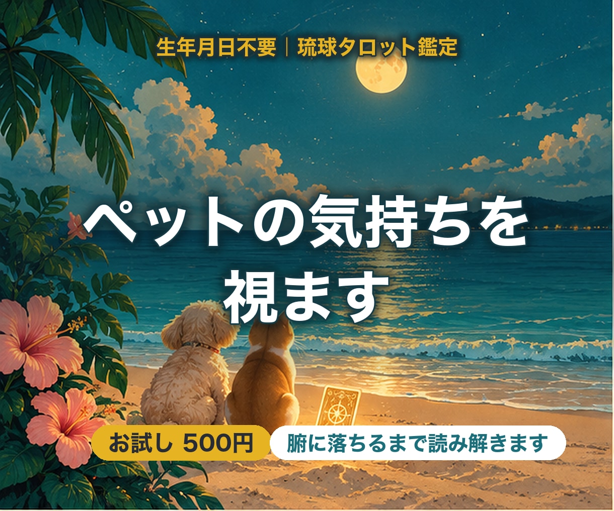 生年月日不要｜ペットの気持ちをタロットで視ます 元気がない、あの子は今。言葉にならない気持ちを訳します イメージ1