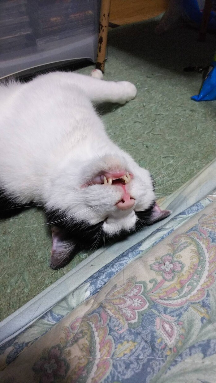 うつの方、うつ経験者があなたの心に寄り添います あなたのうつの寛解に向けて、一緒に話しましょう。 イメージ1