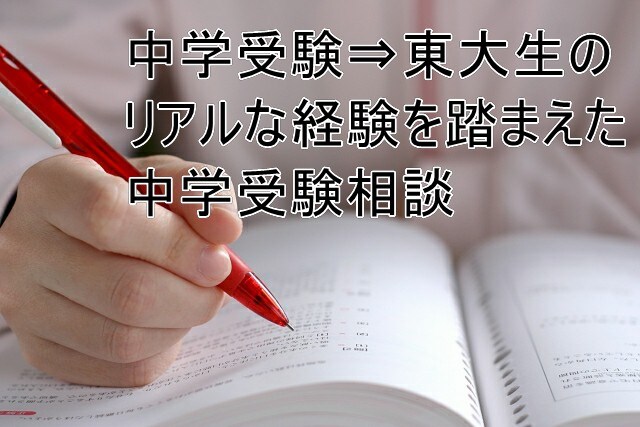 将来を見据えた中学受験の相談お受けします 中学受験⇒東大経験を踏まえたアドバイスをお求めの親御様へ イメージ1