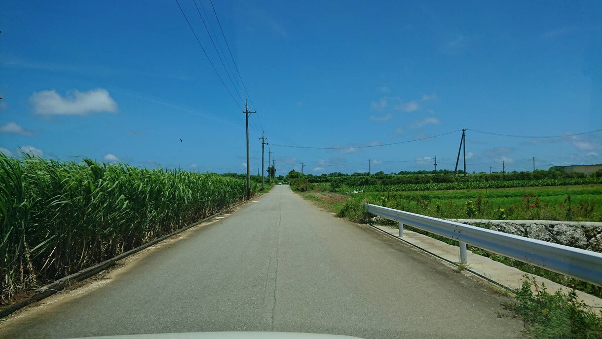 お話・愚痴なんでも聞きます こんなご時世、溜まった不満、愚痴どんどん吐き出しましょう。 イメージ1