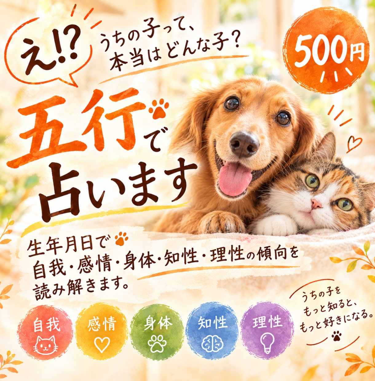 うちの子って、本当はどんな子？五行で占います 生年月日で自我・感情・身体・知性・理性の傾向を読み解きます。 イメージ1