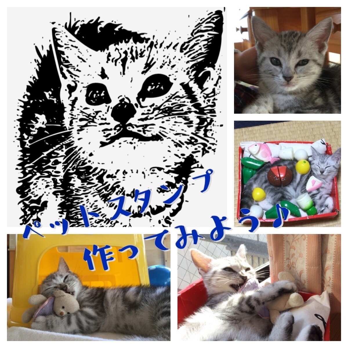 愛猫・愛犬・愛鳥…オリジナルペットスタンプ作ります やっぱりうちの子！フルオーダーペットスタンプ作成 イメージ2