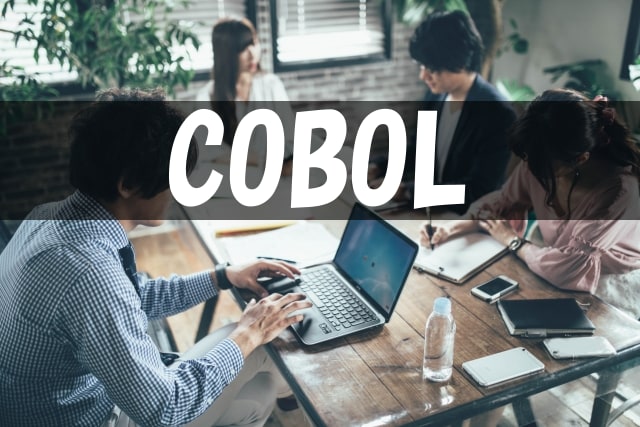 COBOLサポートします COBOL・JCLなどでお困りの事お助けします イメージ1