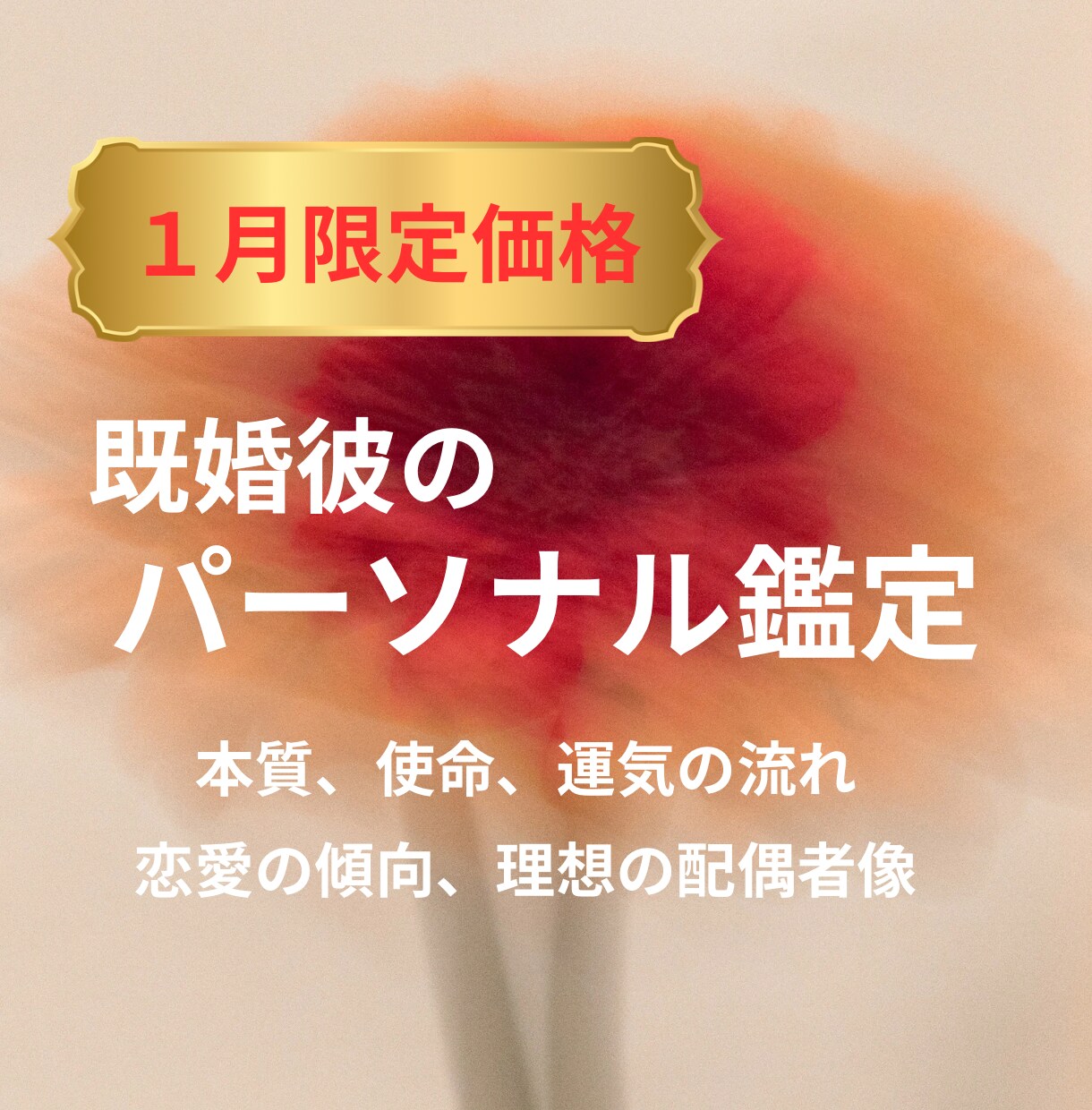 行動分析鑑定で彼さんの全てをお伝えします あなたの知らない彼さんを発見！ イメージ1