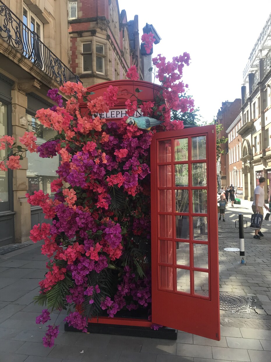 イギリスYMSビザの相談乗ります YMSでイギリスにいる私が何でもお答えします！ イメージ3