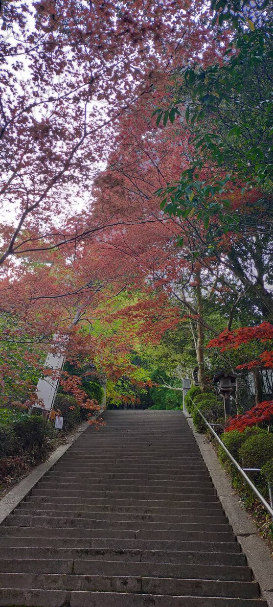 あなたに合う神社仏閣をお探しします 人によって、その時々、呼んでくださる神様がおられます。 イメージ2