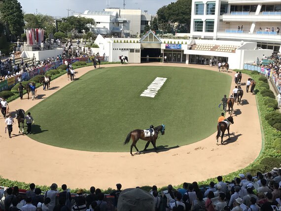 馬券大学、2013年4月開講、馬券予想してます JRAの思惑、馬主の意向、馬の状態、厩舎、騎手の起用より予想 イメージ1