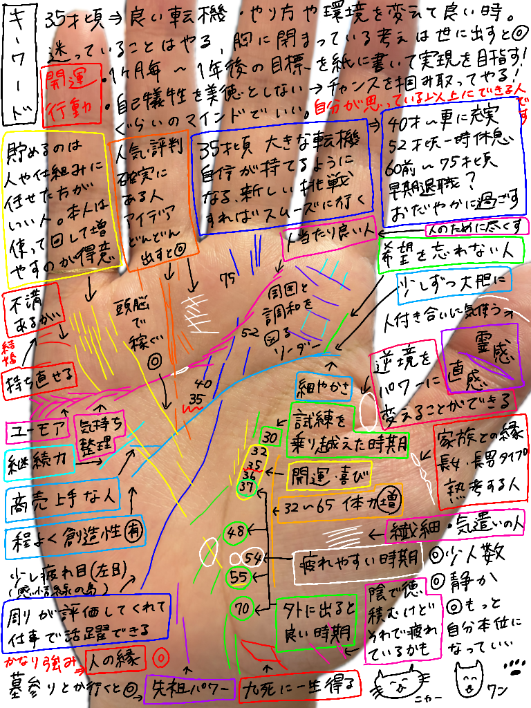 タイムラプス動画で手相鑑定をします わかりやすい動画解説付きです。 イメージ1