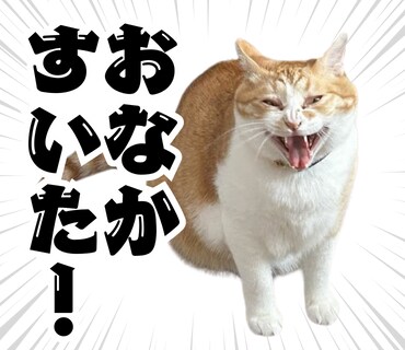 あなたのペットの写真でLINEスタンプ作ります 送っていただいた日常の写真をもとに12個制作！ イメージ6