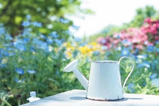 ペットのお世話の仕方などをお教えいたします 今まで8種類のペットを家族で飼ってきました イメージ2
