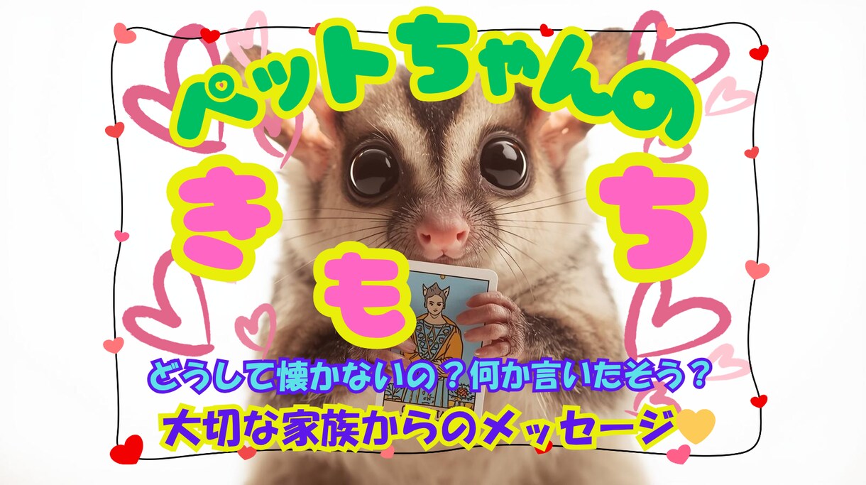 大切な✨ペットちゃんからのメッセージをお伝えします もっと仲良しになるヒントを✨タロット✖霊視で教えます✨ イメージ1
