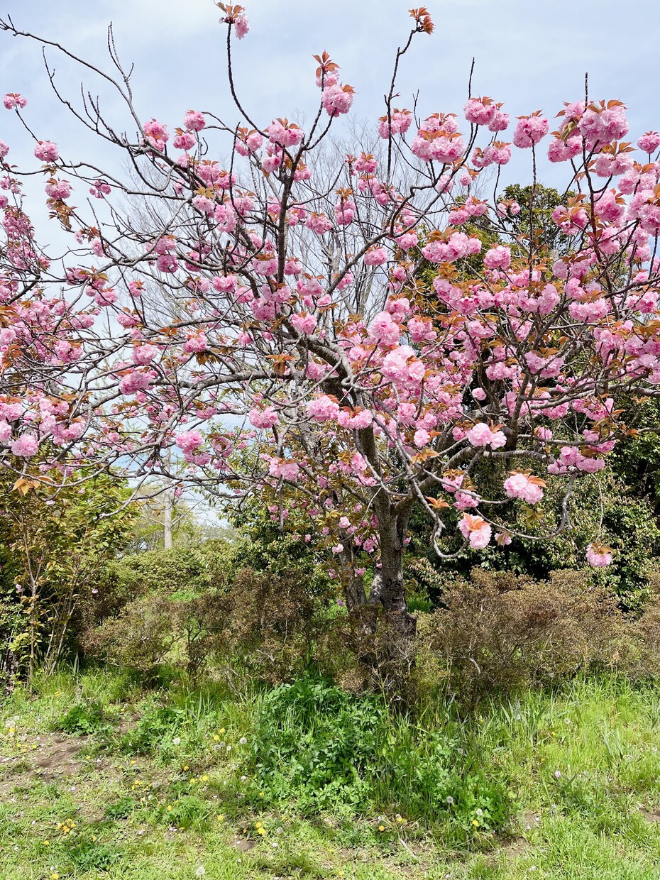 どんな話も受け止めます あなたに寄り添い、受け止めます何でもどうぞ♡ イメージ1
