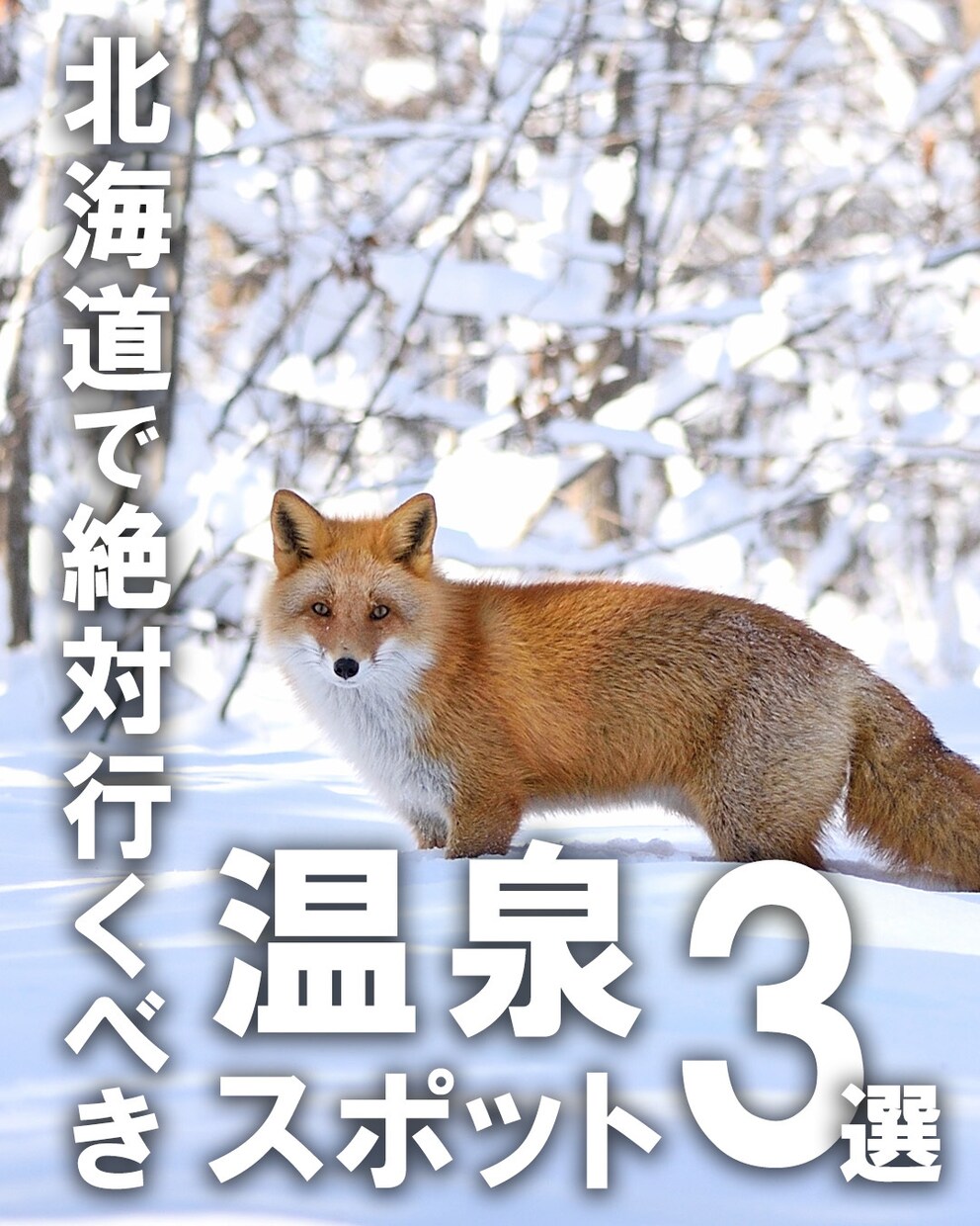 実績作り応援価格/SNS用WEBバナー制作します 理想のバナーを一緒に作り上げましょう！ イメージ1