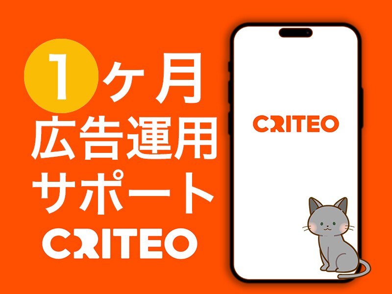 Criteo広告1ヵ月運用代行します 広告代理店出身者⭐︎1ヶ月間サポート付き イメージ1