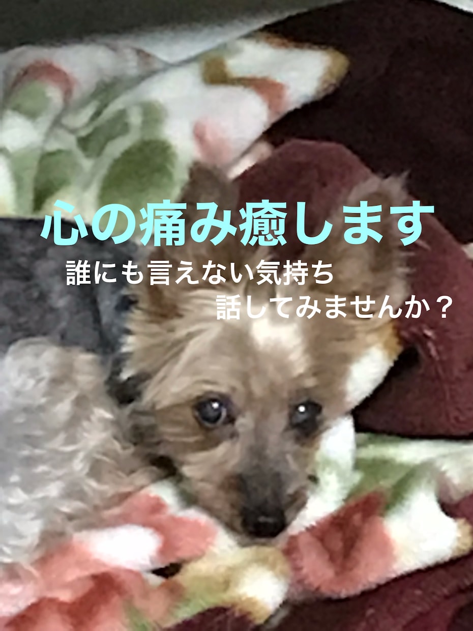 鬱、パニック障害など、心が辛い方々に寄り添います 今の苦しい思いを吐き出してみませんか？ イメージ1