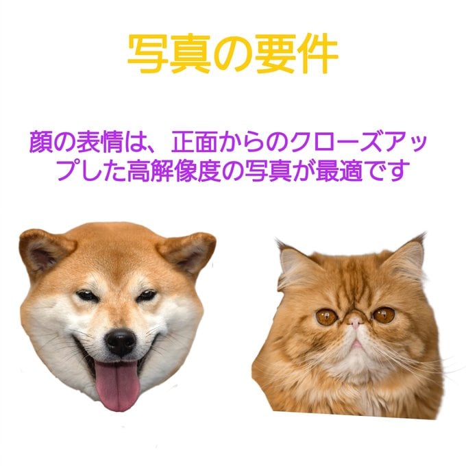 写真から作るフィギュア｜愛犬・愛猫似顔人形ます オーダーメイド 犬・猫そっくり 肖像画 うちの子 置物 イメージ9