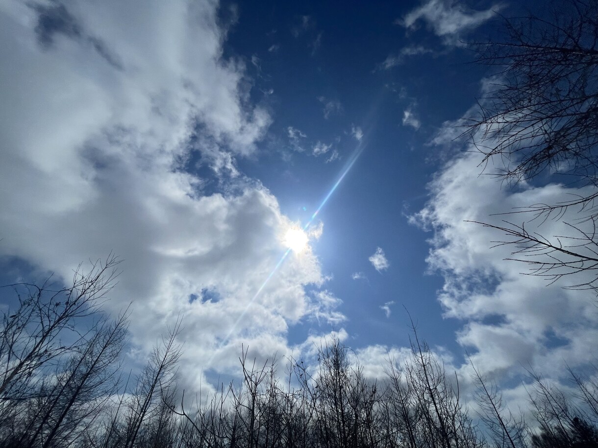 大切な人を亡くされた辛い気持ちお聞きします 大切な人を亡くし、乗り越えつつある私が共感しながら聞きます。 イメージ2