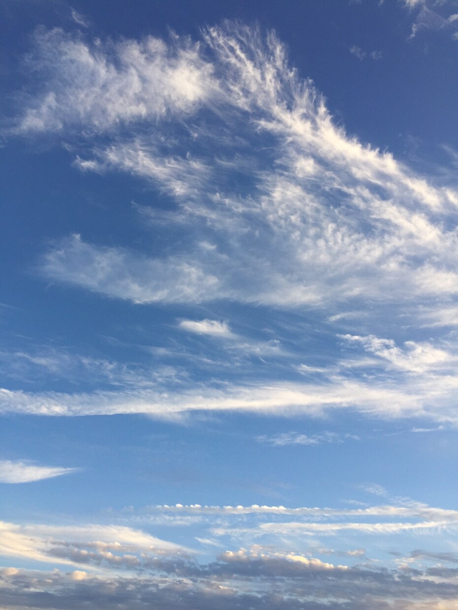 どんなことでも聞きます。受け止めます。すぐにお話ししましょう イメージ1