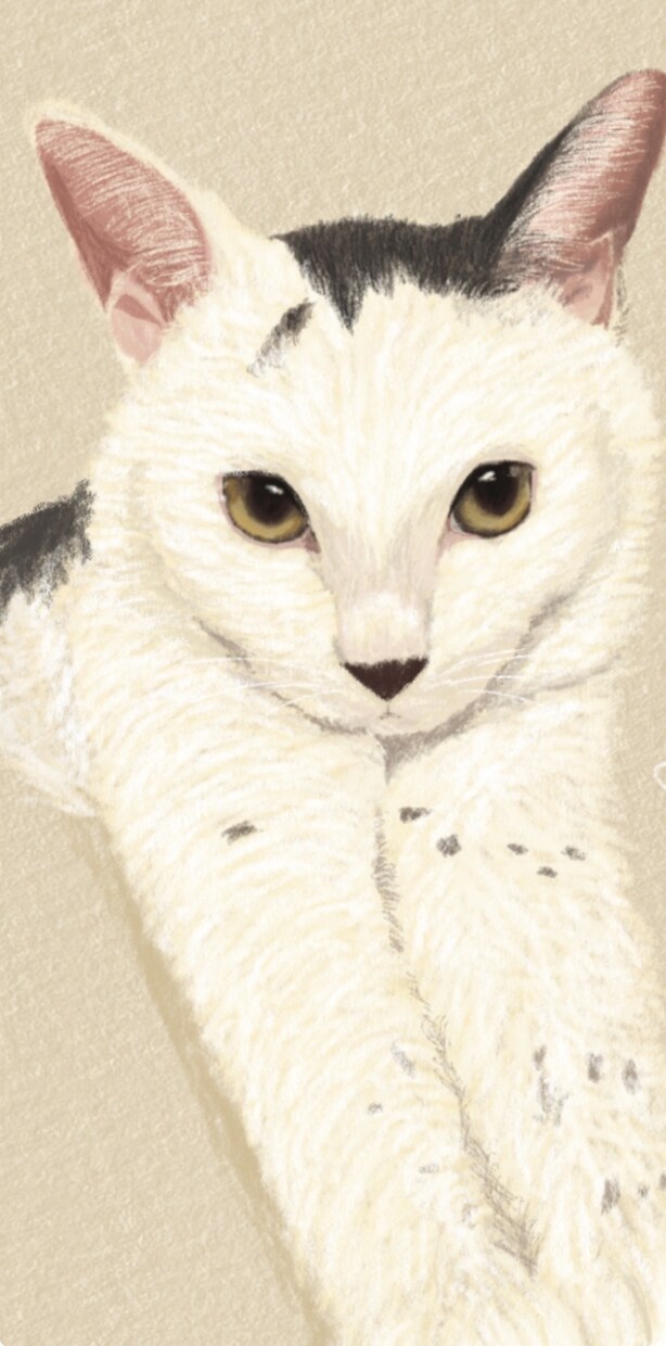 思い出に残る心温まるペットちゃんのイラスト描きます 写真とはまた違うほんわか可愛い温かみのあるイラストです イメージ8