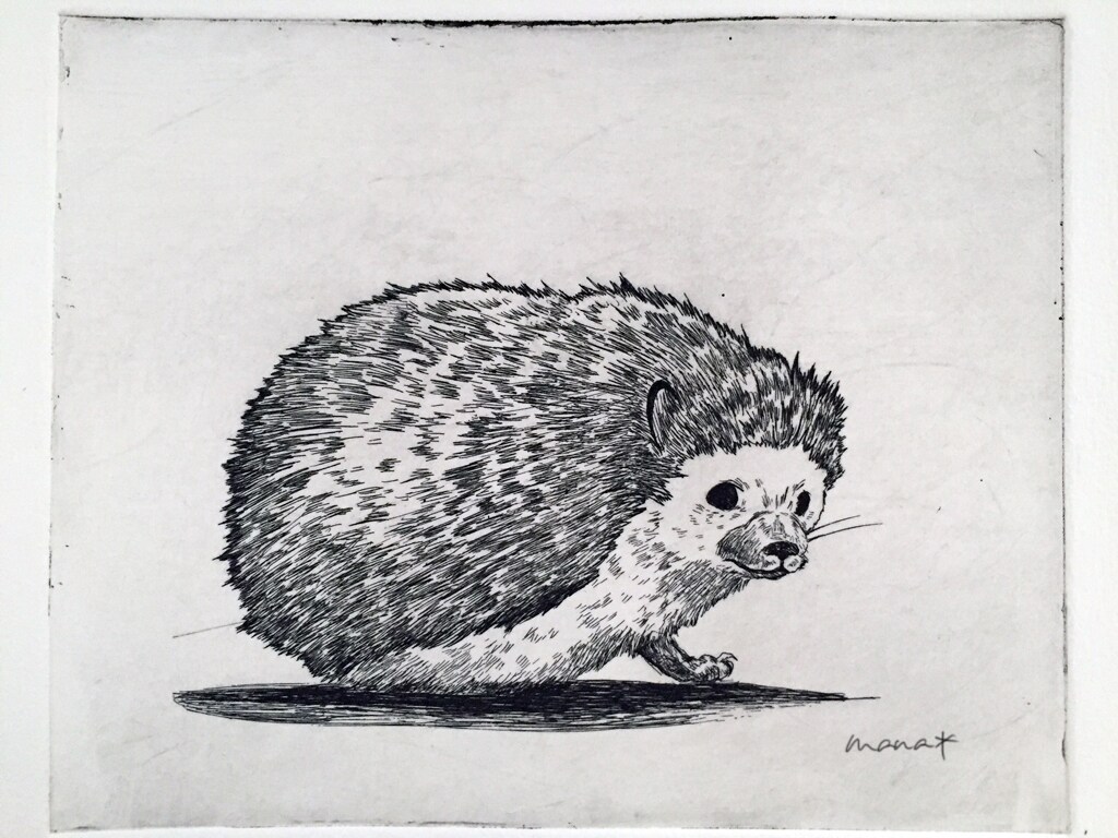 ペン画イラスト制作します 繊細なタッチのイラストを制作いたします イメージ4