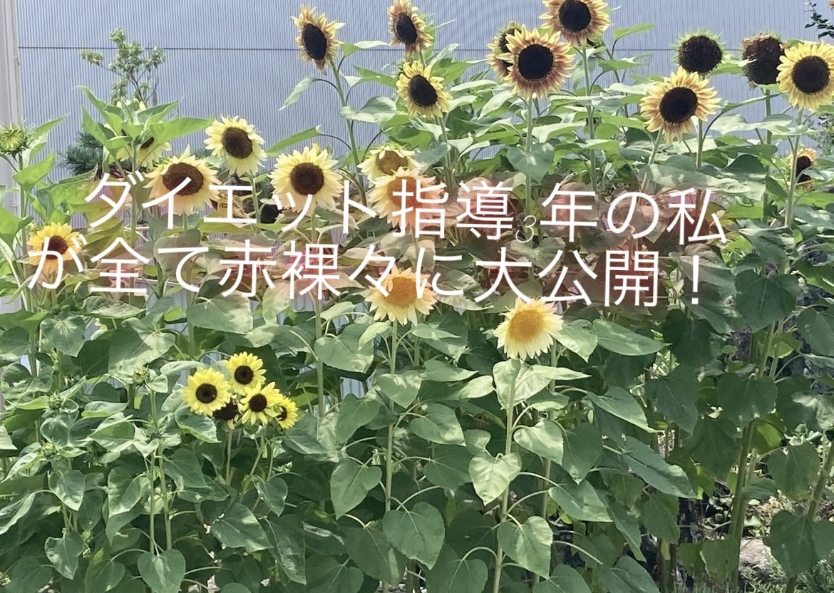 効率のいい痩せ方教えます 意志も根性も関係ない。全てはダイエット知識だった。 イメージ4