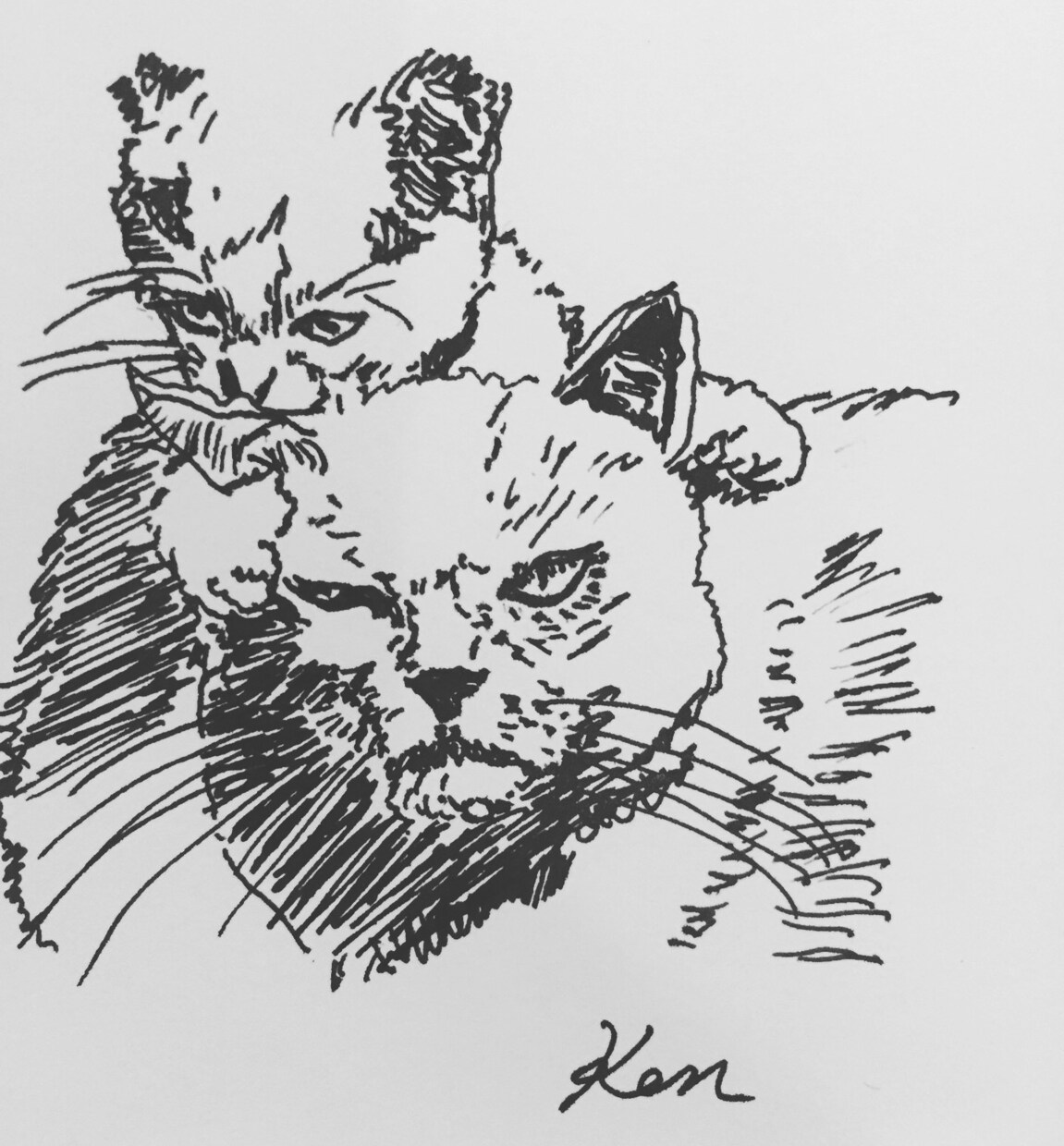 人物、ペットイラストます 暖かなアナログイラスト届けます イメージ2