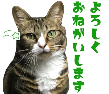ペットちゃんの動物ラインスタンプ作ります LINEスタンプ作成依頼が保護猫たちへの寄付となります！ イメージ4