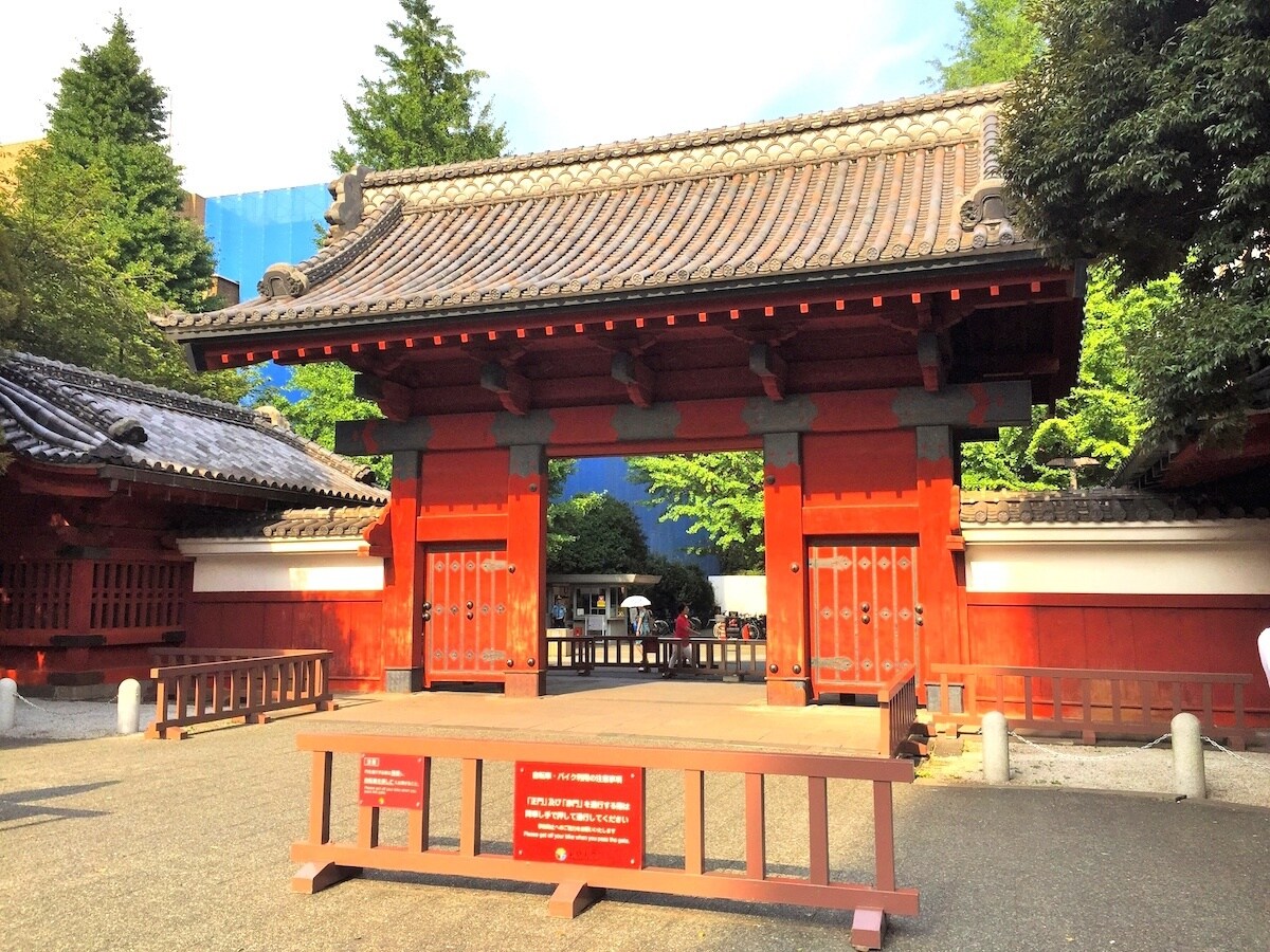 東大・難関大・医学部受験の学習相談承ります 現役東大生のオンライン家庭教師・チャットのみで気軽に！ イメージ1