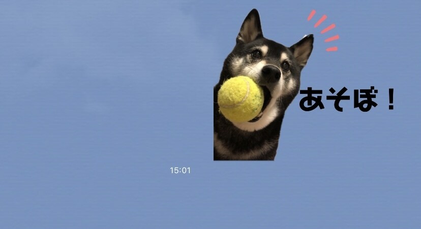 ペットなどの写真でLINEスタンプ作成します 16個で1500円！友人の誕生日などにおすすめ！ イメージ2