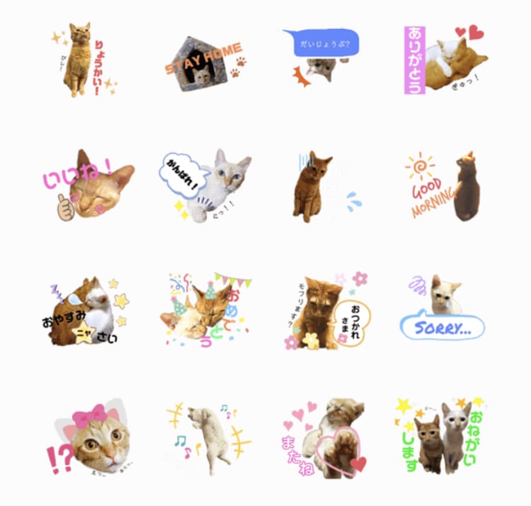 保護ペットの可愛い♡LINEスタンプ♡つくります 【こちらは保護犬・保護猫ちゃんの飼い主様ページです】 イメージ1