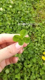 なーんでもお話聞きます 愚痴、恋愛相談、育児相談、人間関係なんでもどうぞ！ イメージ1